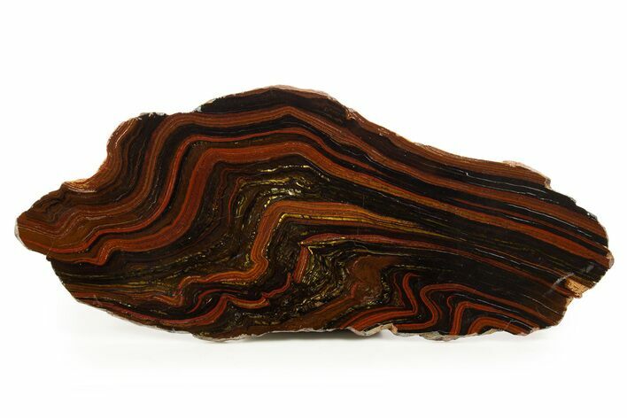 Polished Tiger Iron Stromatolite Slab - Billion Years #317241